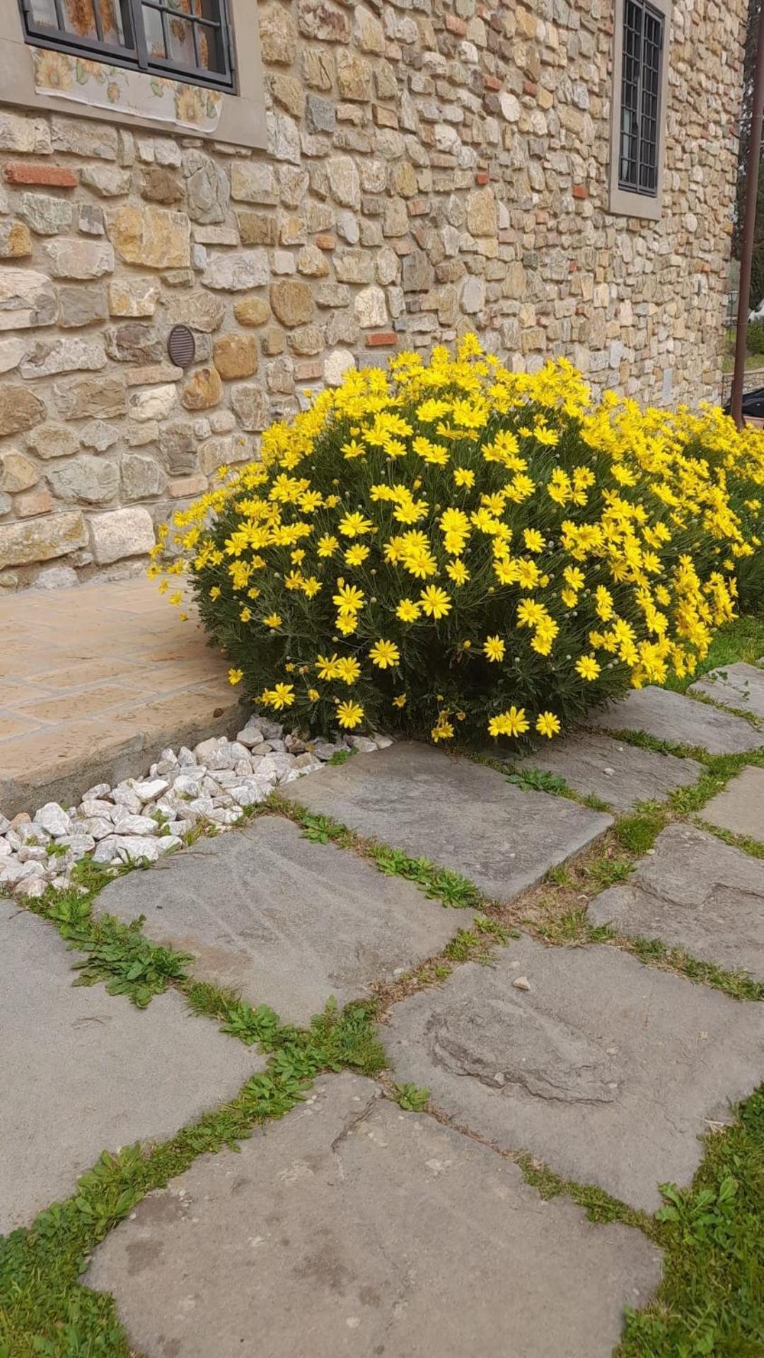 Agriturismo Circugnano Grassina Exterior foto