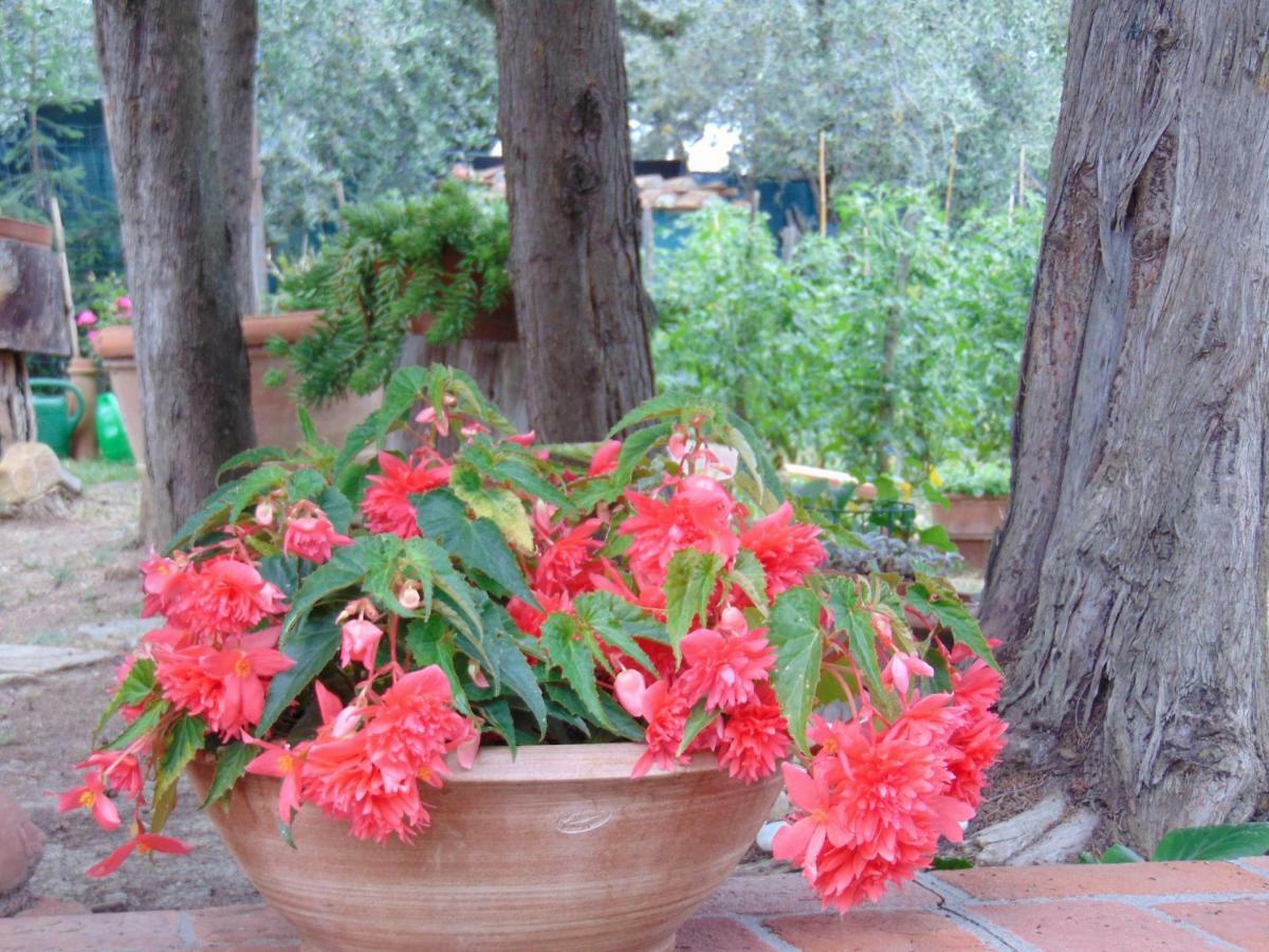 Agriturismo Circugnano Grassina Exterior foto